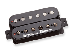Seymour Duncan Black Winter 6-string neck and bridge