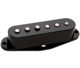 DP419 BK