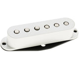 DP419W