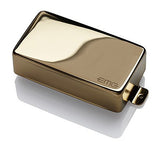 EMG 81 humbucker